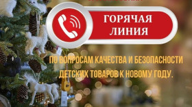 С 04 по 15 декабря 2023 года Управление Роспотребнадзора по Саратовской области организует работу горячей линии.